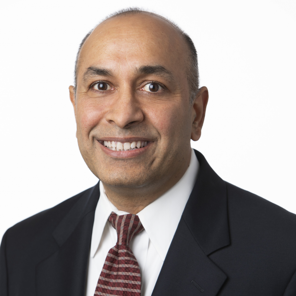 Shailendra Mehrotra - Petrogenium